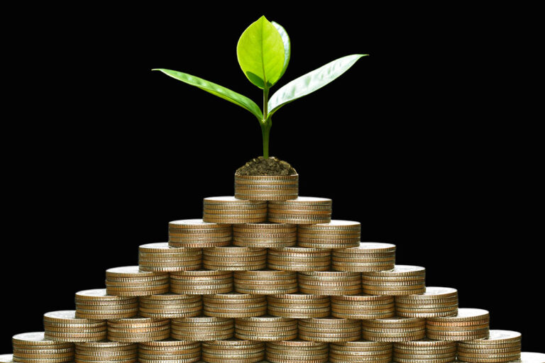 Stacked gold coins forming a pyramid with a green plant growing on top, symbolising institutional investment growth and sustainable wealth strategies.