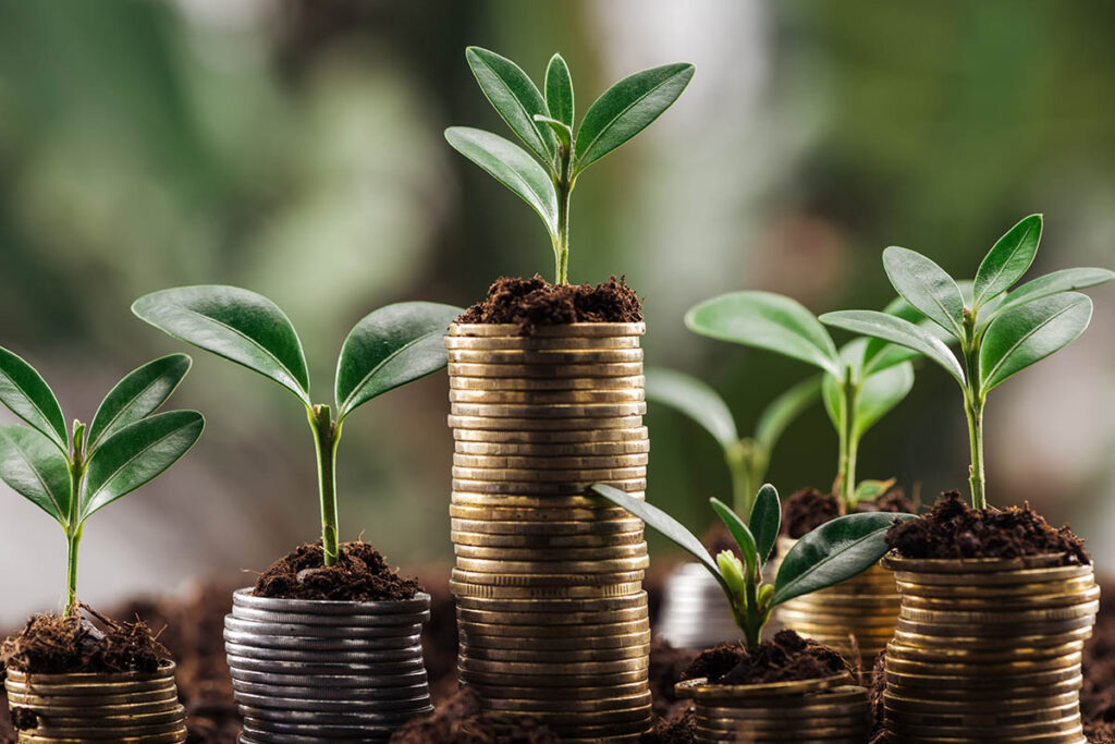 Stacks of gold coins with green plants growing from them, symbolising strategic wealth expansion and sustainable financial growth.